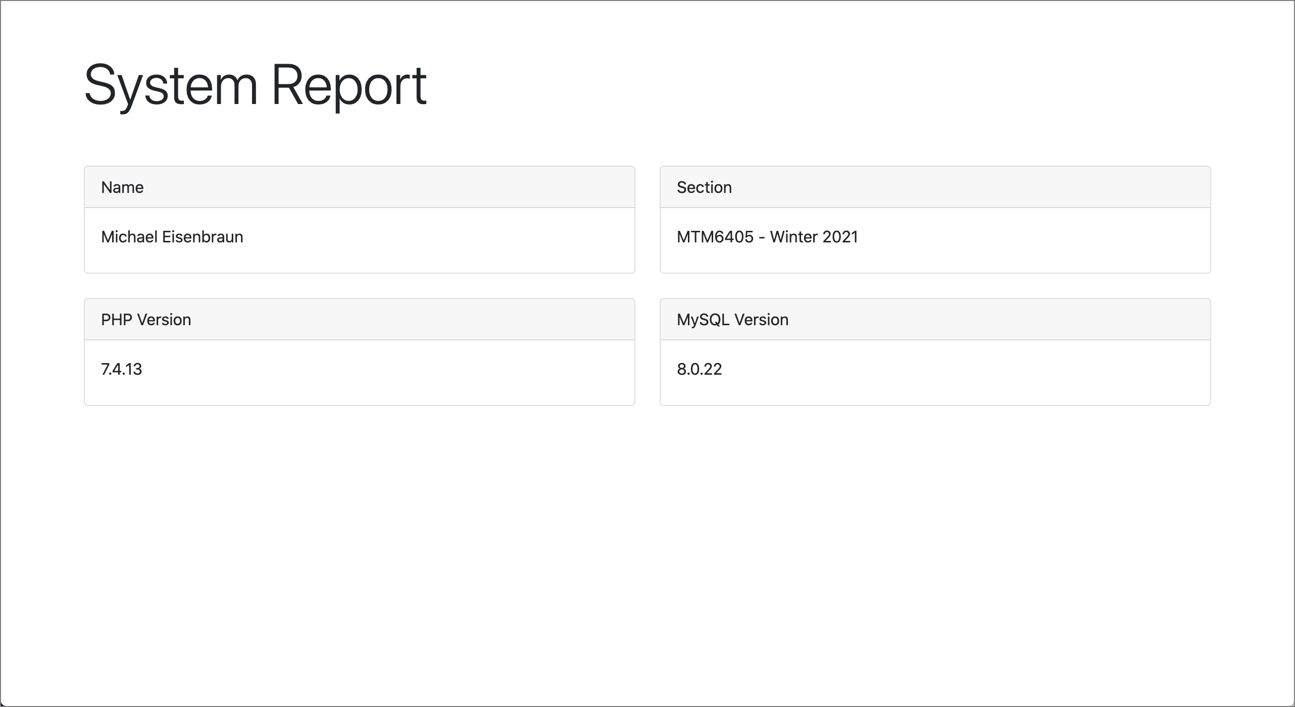 System Report screenshot example